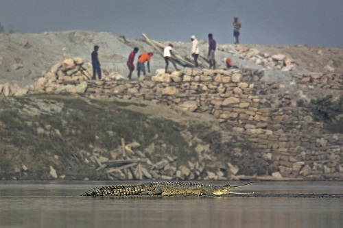 Winners of the Nature inFocus Photography and Film Contest 2021 1 18478 Winner Conservation Issues Mahisin Khan